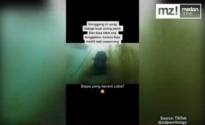 menegangkan aksi berani pria menyelam di danau toba ini curi perhatian