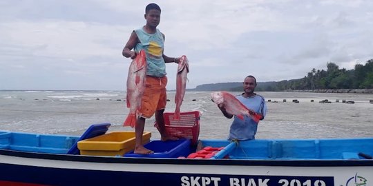 Siap-Siap, Industri Perikanan Tangkap Bakal Dikenakan PNBP Mulai Juni
