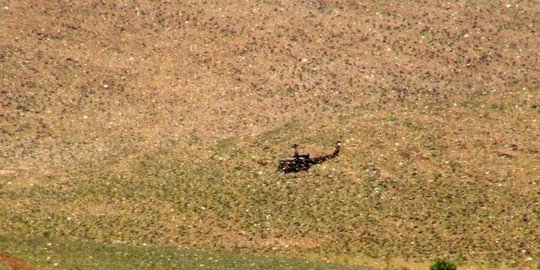 Tentara Lebanon Kerahkan Helikopter Perangi Wabah Belalang