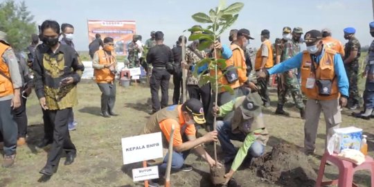 Antisipasi Tsunami, 3.313 Pohon Ditanam BNPB di Pesisir Cilacap