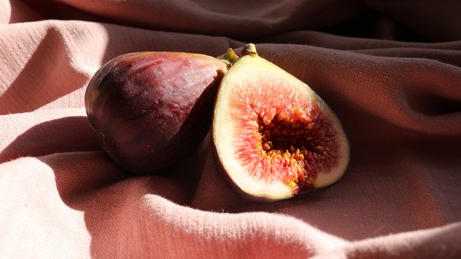 ilustrasi buah tin