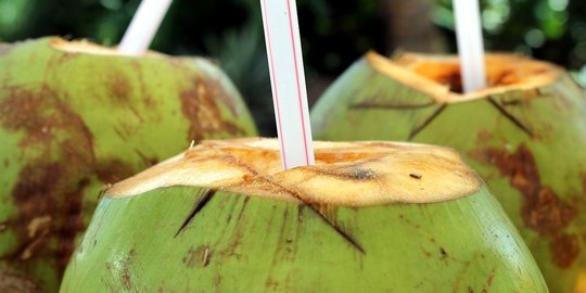 dan kelapa