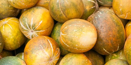 dan mangga