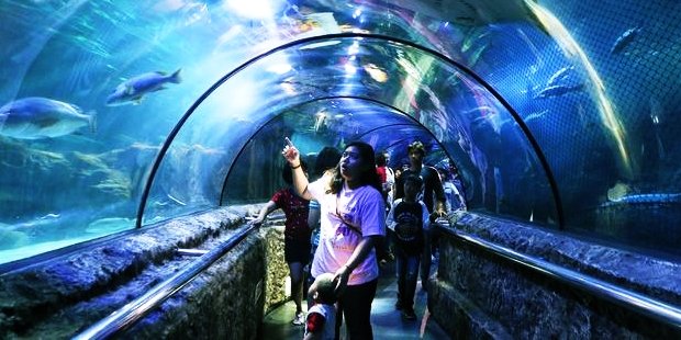 pengunjung seaworld ancol