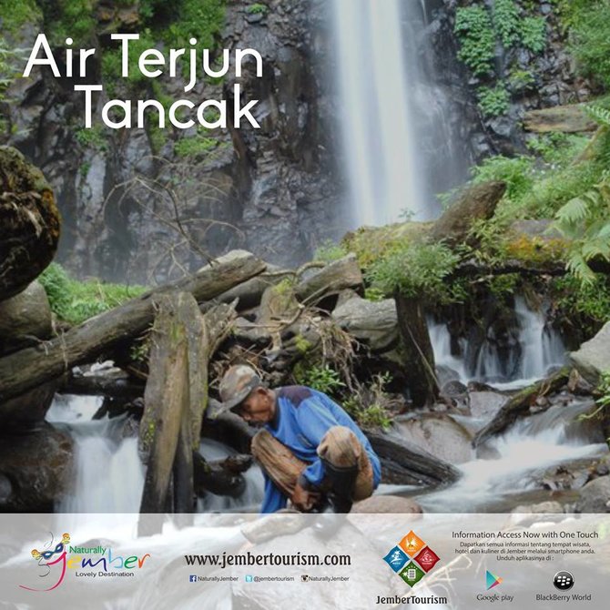 air terjun tancak jember