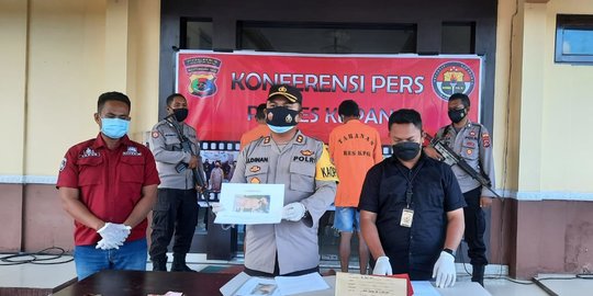 Ternak Curian Ditemukan di Pasar Hewan, Pemilik Lapor Polisi