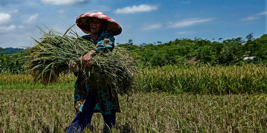 Jika Pemekaran Wilayah Jadi, Kabupaten Bogor Kehilangan Potensi PAD Rp800 Miliar