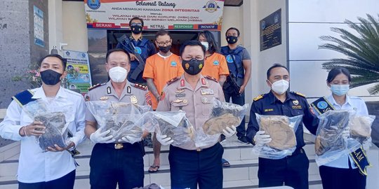 Terima Kiriman 9 Kg Ganja, 2 Pria Ditangkap BNN Kabupaten Badung