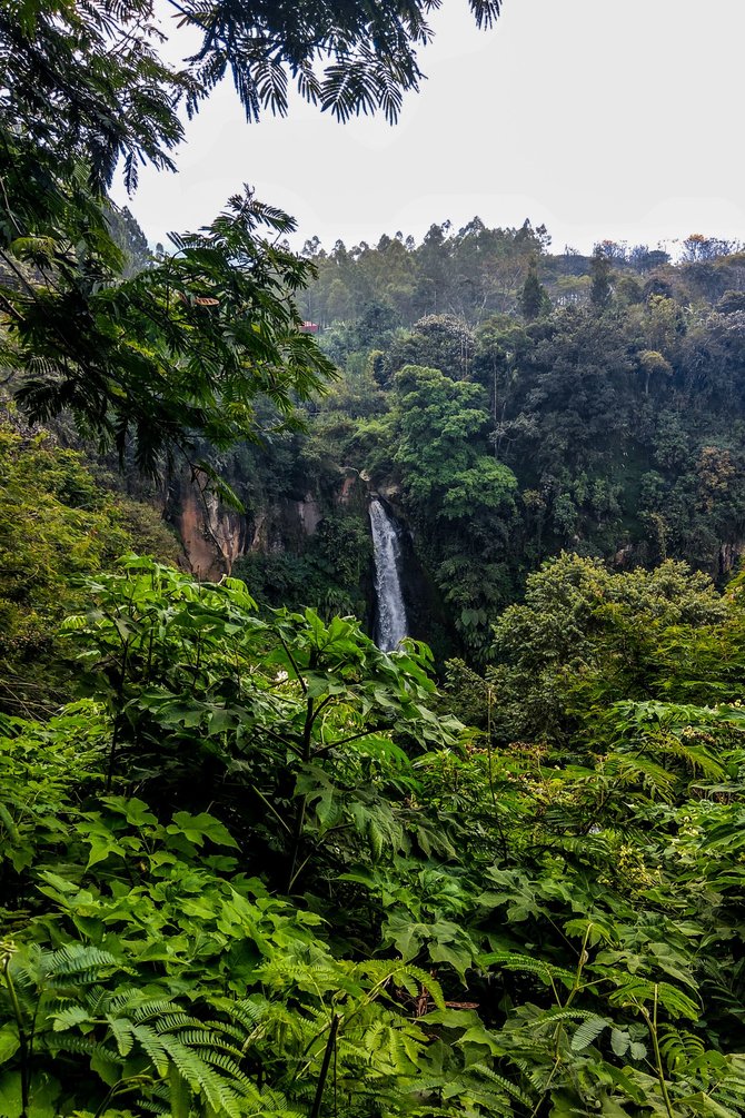 kesejukan coban talun