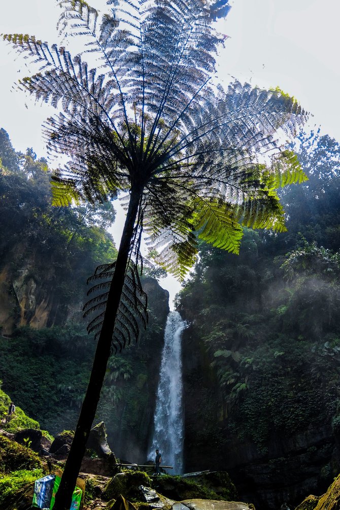 kesejukan coban talun