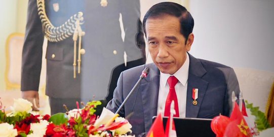 Komnas HAM Minta Jokowi Berani Ambil Keputusan Dialog Damai Dengan KKB