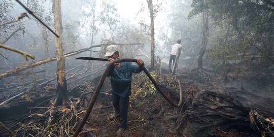 Polisi: Karhutla Turun 81 Persen Antara 2019 sampai 2020