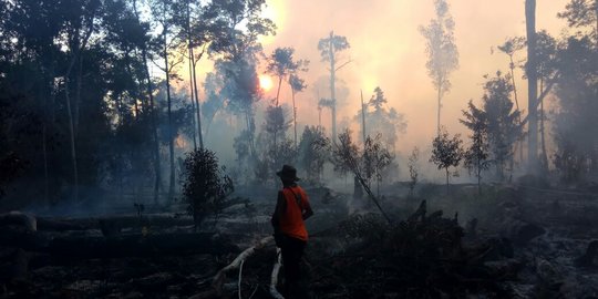 Polri Prioritaskan 6 Polda dalam Penanganan Kasus Karhutla