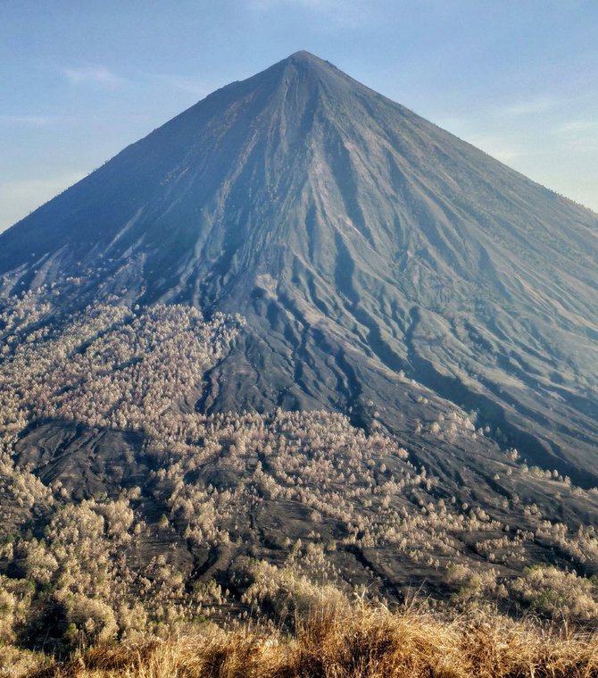 bukit bajawa ntt