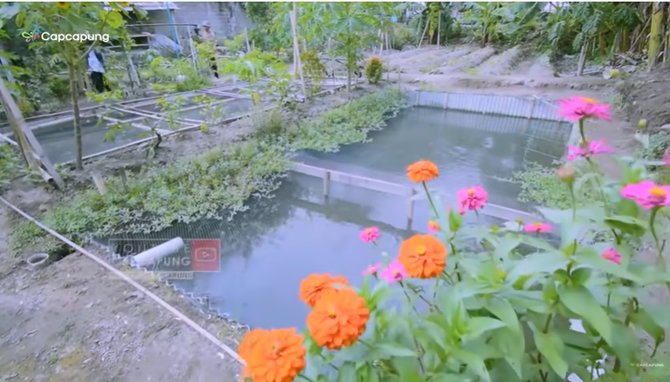 dulu tempat sampah lahan ini disulap jadi kebun amp kolam ikan