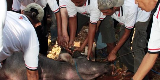 Mengenal Andilan, Tradisi Potong Kerbau Khas Betawi untuk Sambut Idulfitri