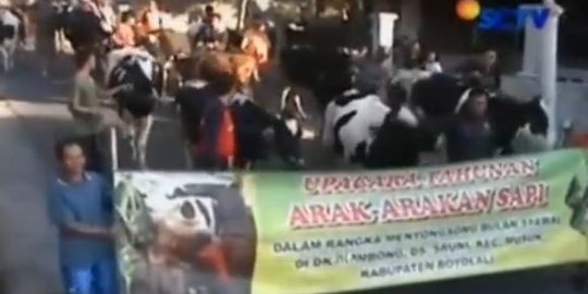 Mengenal Lebaran Sapi, Wujud Rasa Syukur Masyarakat Merapi saat Idulfitri