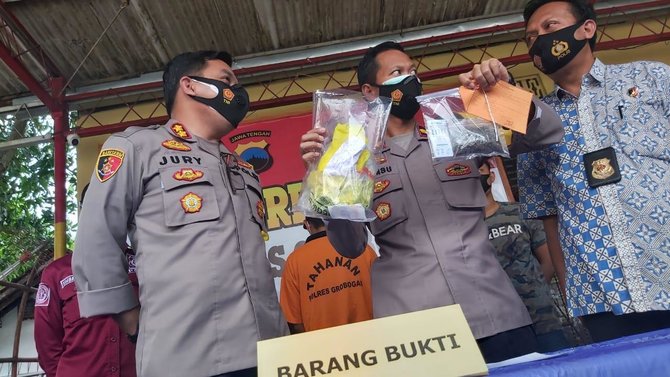 anggota dprd grobogan ini pesan ganja karena insomnia