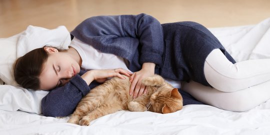 Kenali Jenis Gangguan Pencernaan pada Kucing, dari Gejala Hingga Penyebabnya