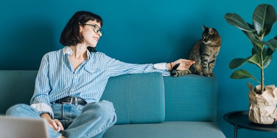 Gemas Melihat Aksi Nakalnya, Time Out Jadi Solusi Jitu Disiplinkan Kucingmu