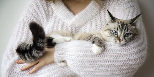 Alasan Kucing Meletakkan Cakarnya di Lenganmu, dari Sayang hingga Posesif