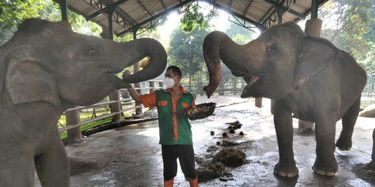 Taman Margasatwa Ragunan Tutup Saat Hari Pertama Lebaran 2021