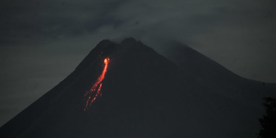 Gunung Merapi Alami 39 Kali Gempa Guguran dan Luncurkan Lava Pijar Sejauh 700 Meter