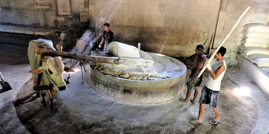 Menjaga Cita Rasa Mie Lethek Khas Bantul dengan Tenaga Sapi