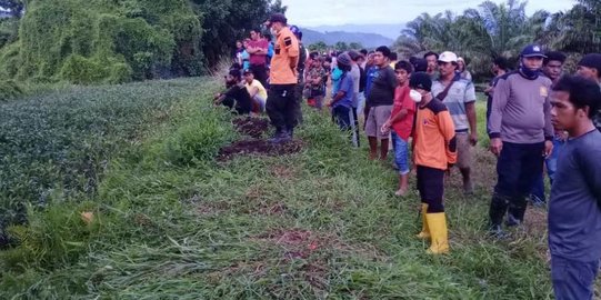 Lagi Mencari Kangkung, Remaja Meninggal Dunia Usai Diterkam Buaya di Mamuju Tengah