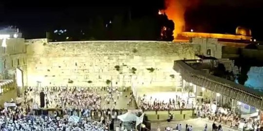 Sebatang Pohon di Luar Masjid Al-Aqsa Yerusalem Terbakar