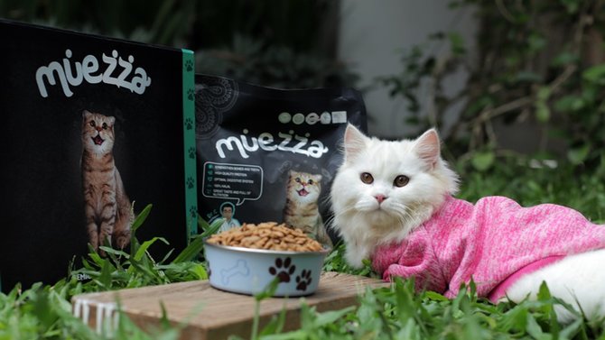 muezza makanan kucing halal