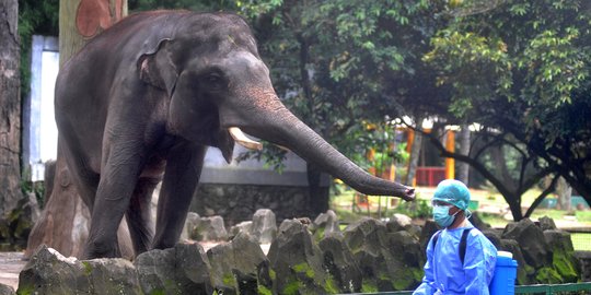 Anies Larang Warga Tak Punya KTP Jakarta Masuk Tempat Wisata