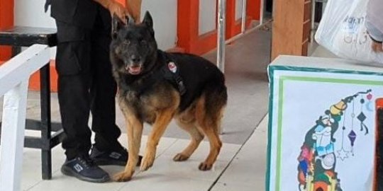 Anjing Pelacak Disiagakan Antisipasi Narkoba Masuk Rutan Makassar