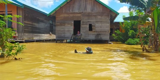 Tanggul Tambang Batubara Jebol, Ratusan Rumah di Berau Terendam Banjir