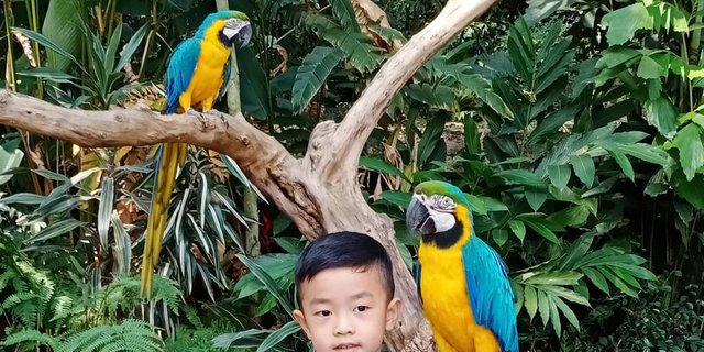 Qfbrp3ao61eksm Qfbrp3ao61eksm