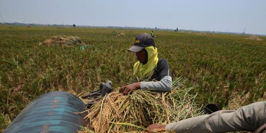 masih ada rev1