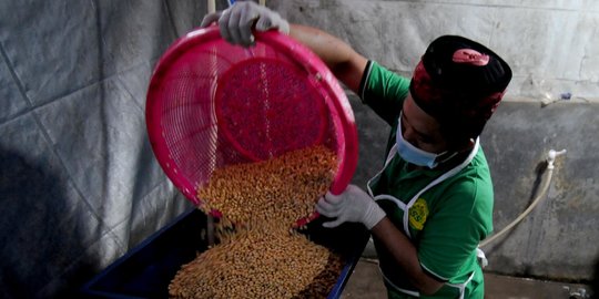 Kemendag Ingatkan Harga Pangan Berpotensi Naik, Termasuk Kedelai dan Daging Sapi