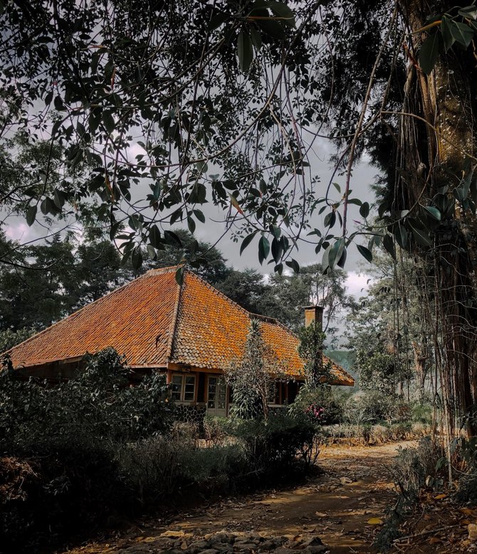 rumah film pengabdi setan