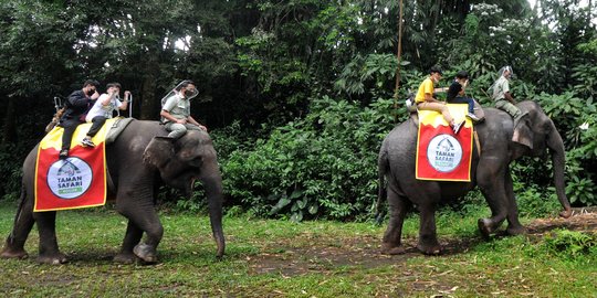 Terapkan Protokol Kesehatan, Wisatawan Padati Taman Safari Indonesia