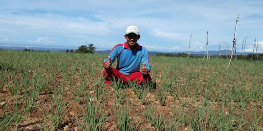 Kementan Luncurkan Program Petani Milenial di Papua