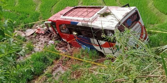 Bus Terjun ke Sawah di Pasaman, 3 Penumpang Meninggal Dunia