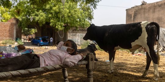 Potret Penderita Covid-19 India Dirawat di Bawah Pohon