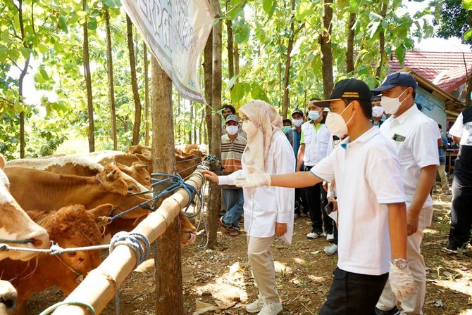 bupati banyuwangi ipuk fiestiandani