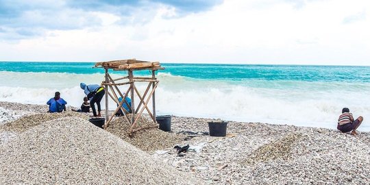 Geliat Penambang Batu Warna-Warni di Pantai Kolbano NTT