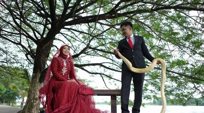 unik dan tak biasa pengantin ini jadikan piton sebagai atribut foto di pernikahan