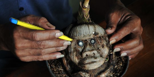 Seni Bonsai Pohon Kelapa, Dibentuk Bak Kepala Manusia