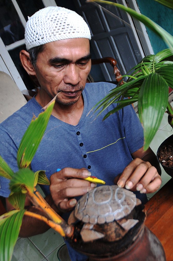 seni bonsai pohon kelapa dibentuk bak kepala manusia