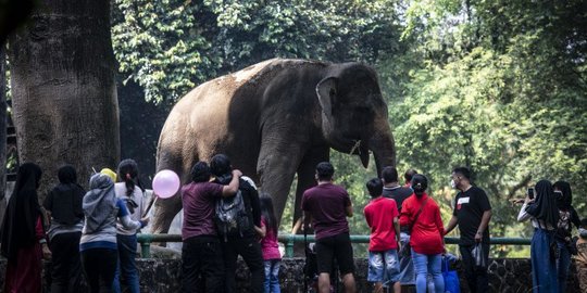 Libur Hari Raya Waisak, 10.331 Orang Mengunjungi Taman Margasatwa Ragunan