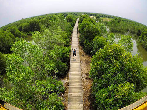 mengunjungi lubuk kertang wisata hutan mangrove di langkat yang terkenal