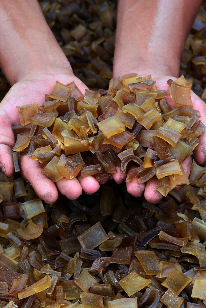 bau anyir pembuatan kerupuk kulit sapi